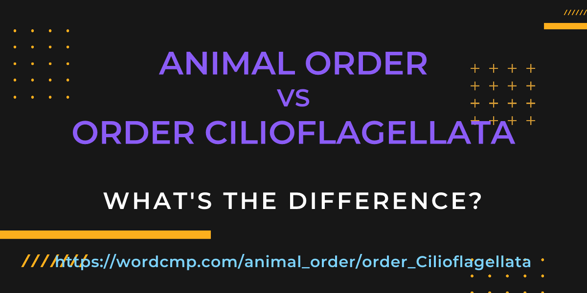 Difference between animal order and order Cilioflagellata