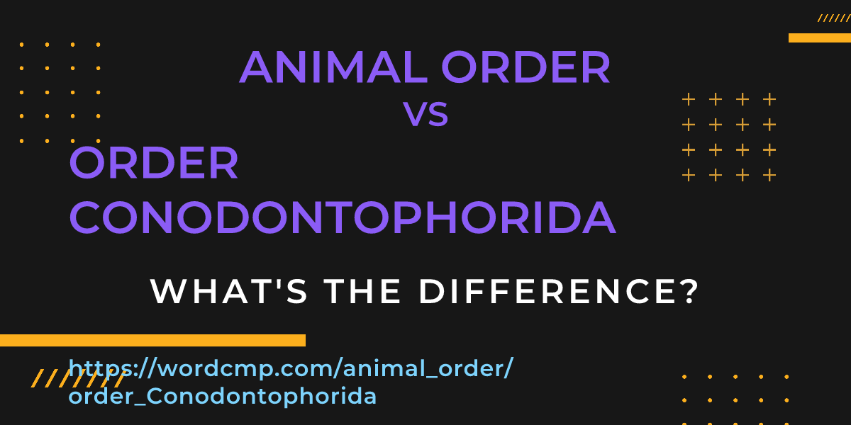 Difference between animal order and order Conodontophorida