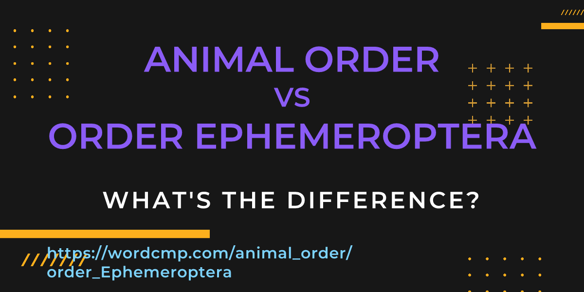 Difference between animal order and order Ephemeroptera