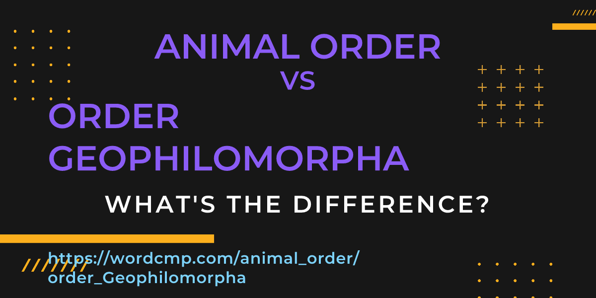 Difference between animal order and order Geophilomorpha