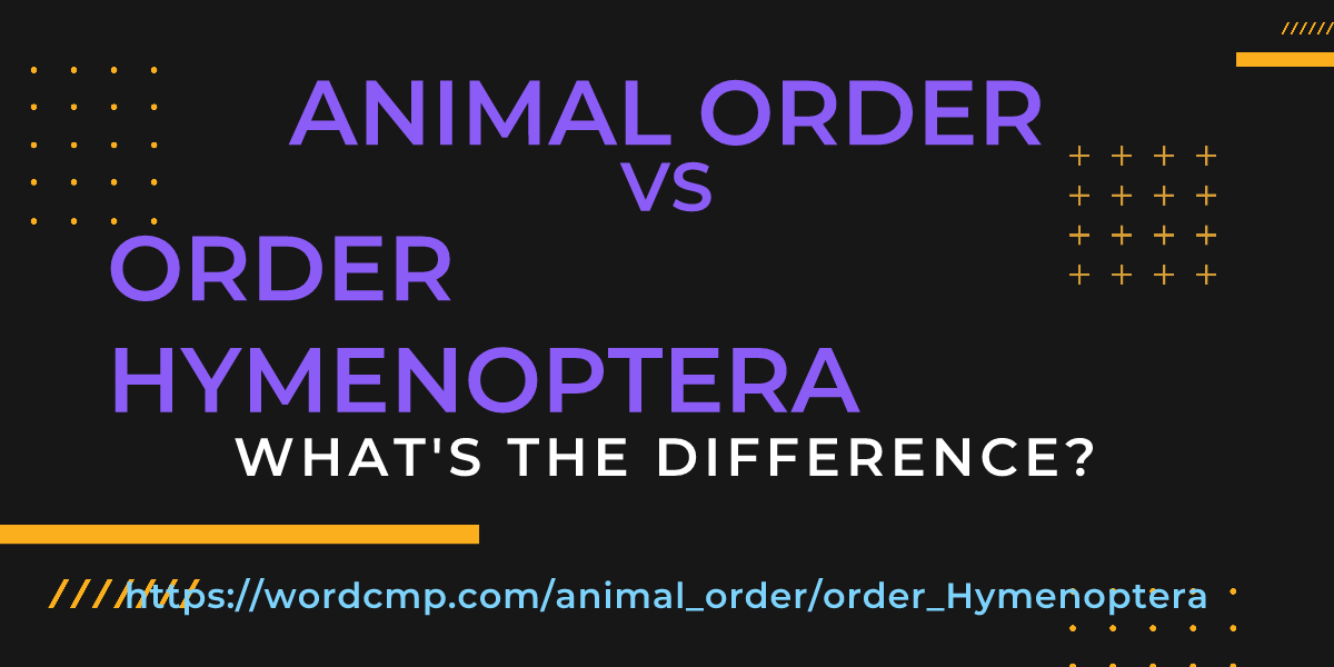 Difference between animal order and order Hymenoptera