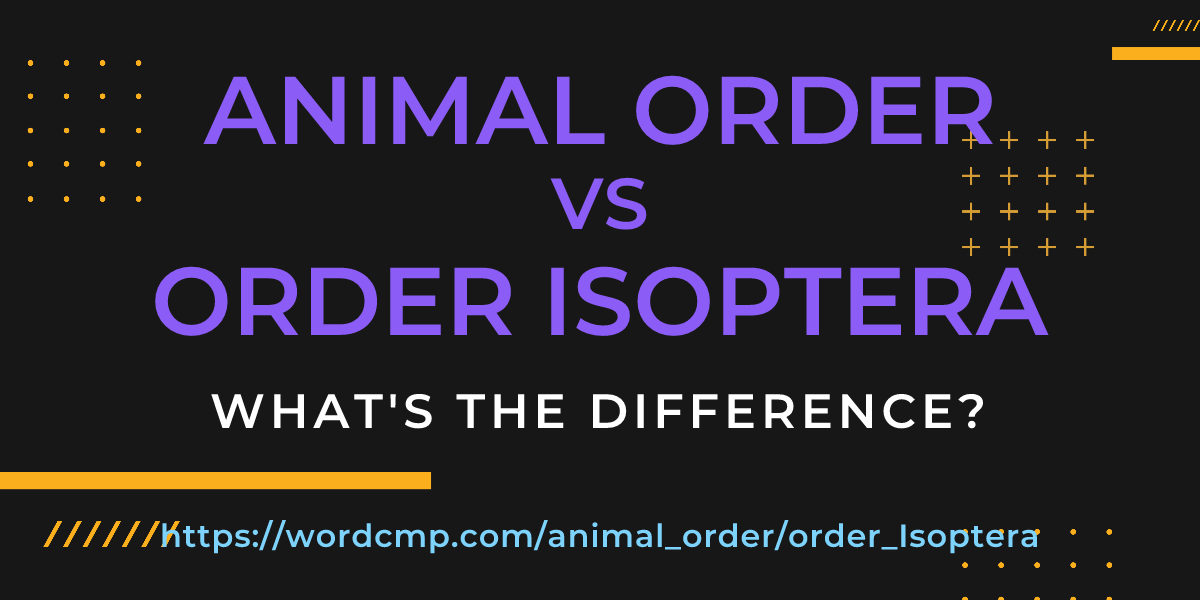 Difference between animal order and order Isoptera
