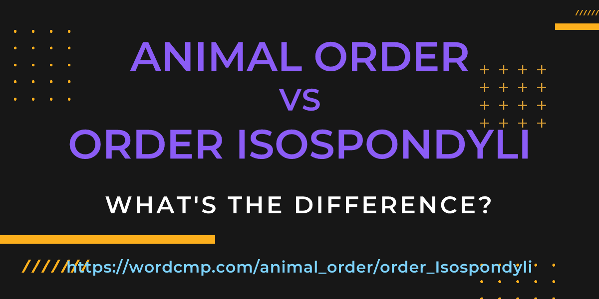 Difference between animal order and order Isospondyli
