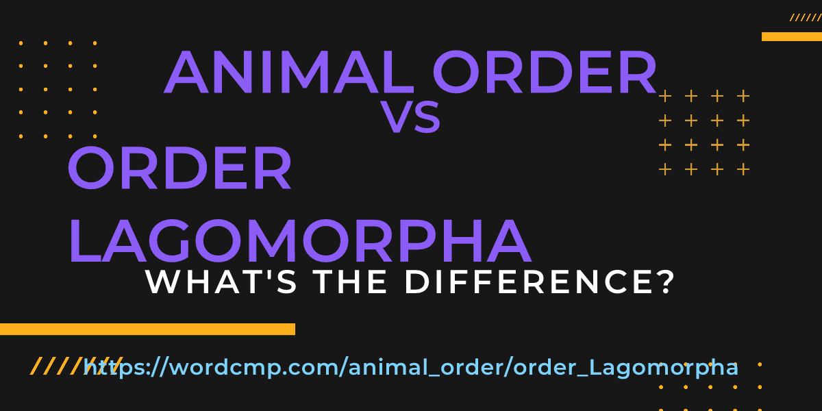 Difference between animal order and order Lagomorpha