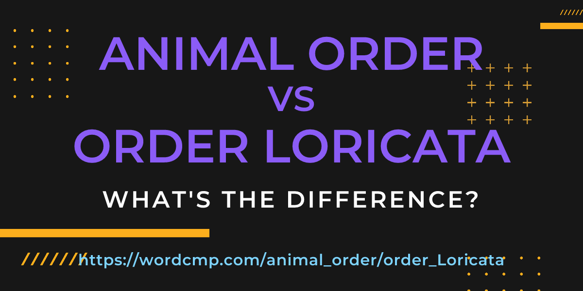 Difference between animal order and order Loricata