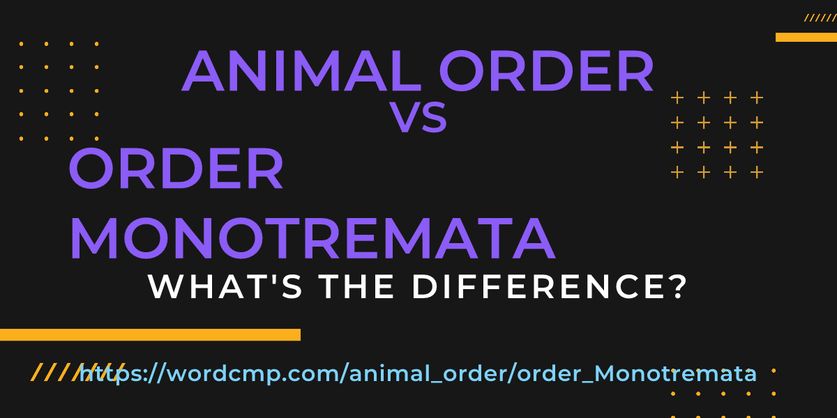 Difference between animal order and order Monotremata