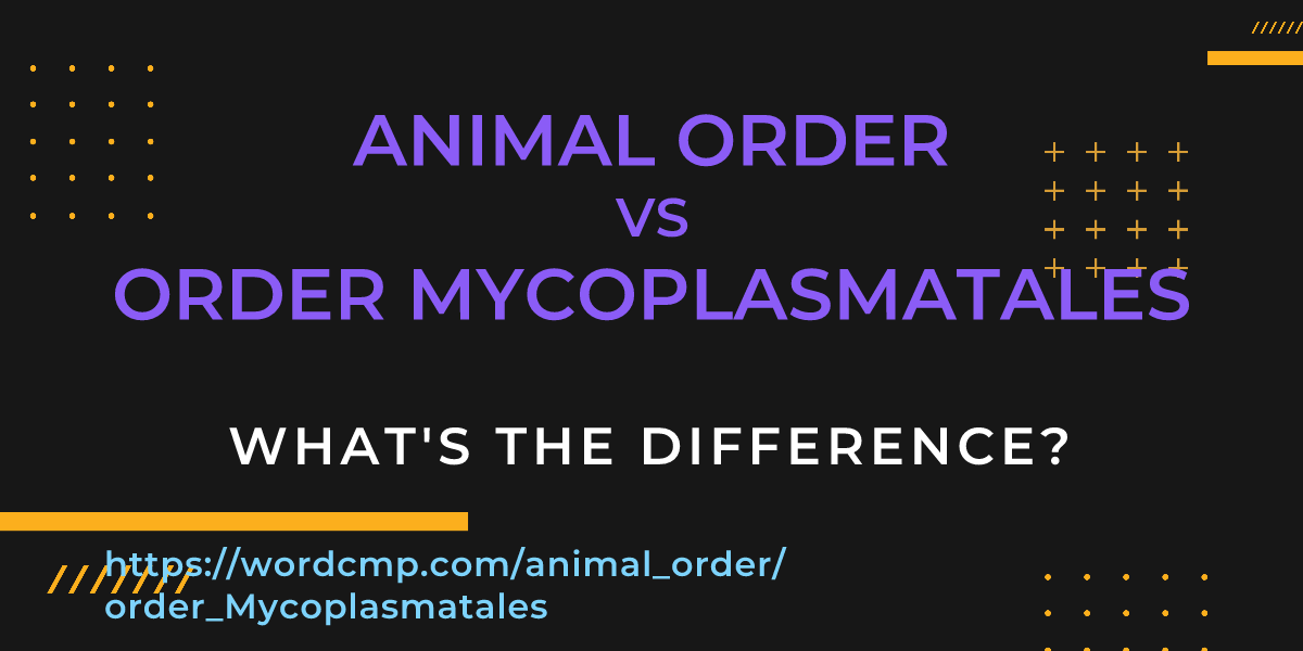 Difference between animal order and order Mycoplasmatales