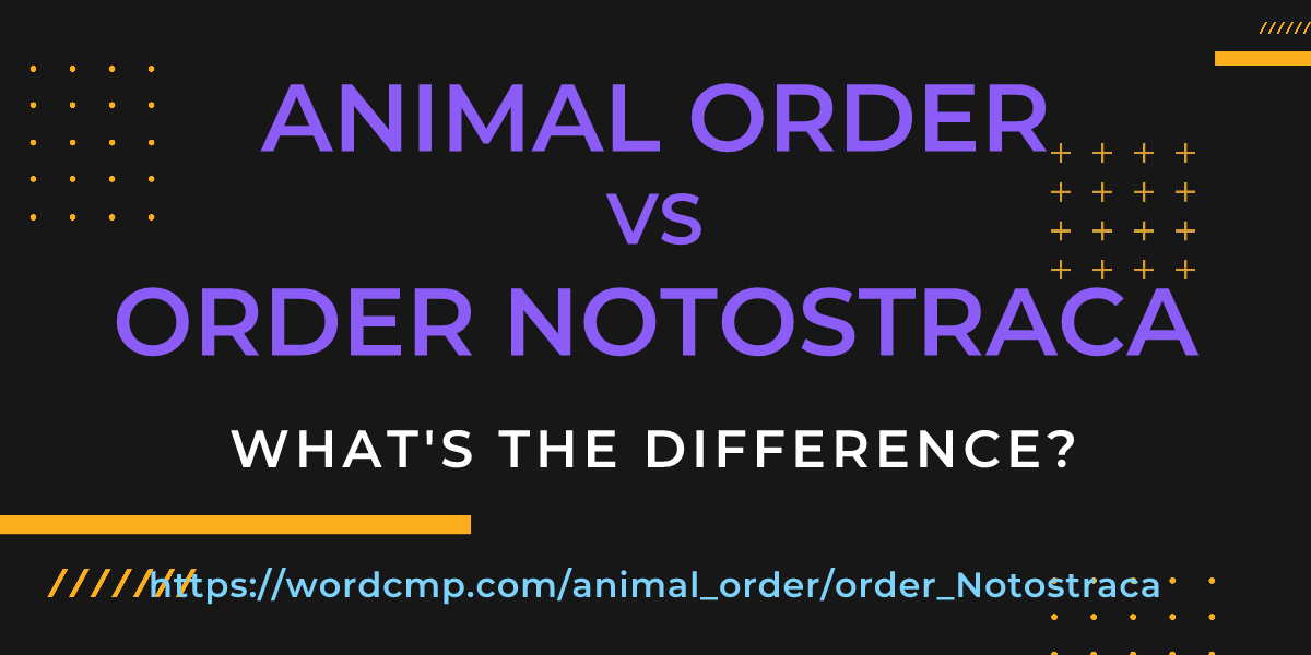 Difference between animal order and order Notostraca