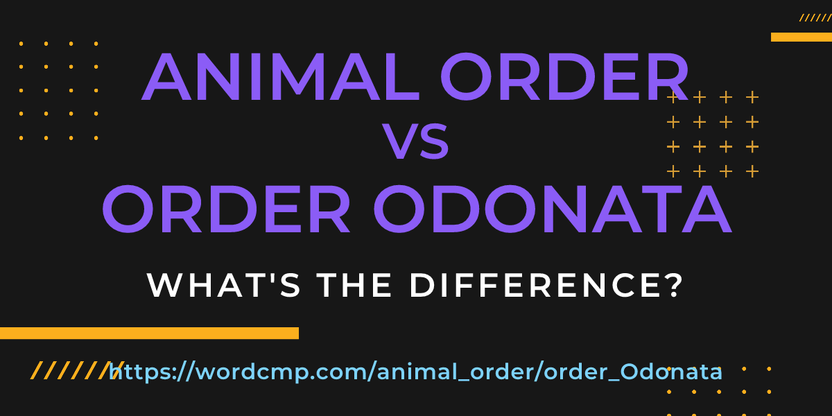 Difference between animal order and order Odonata