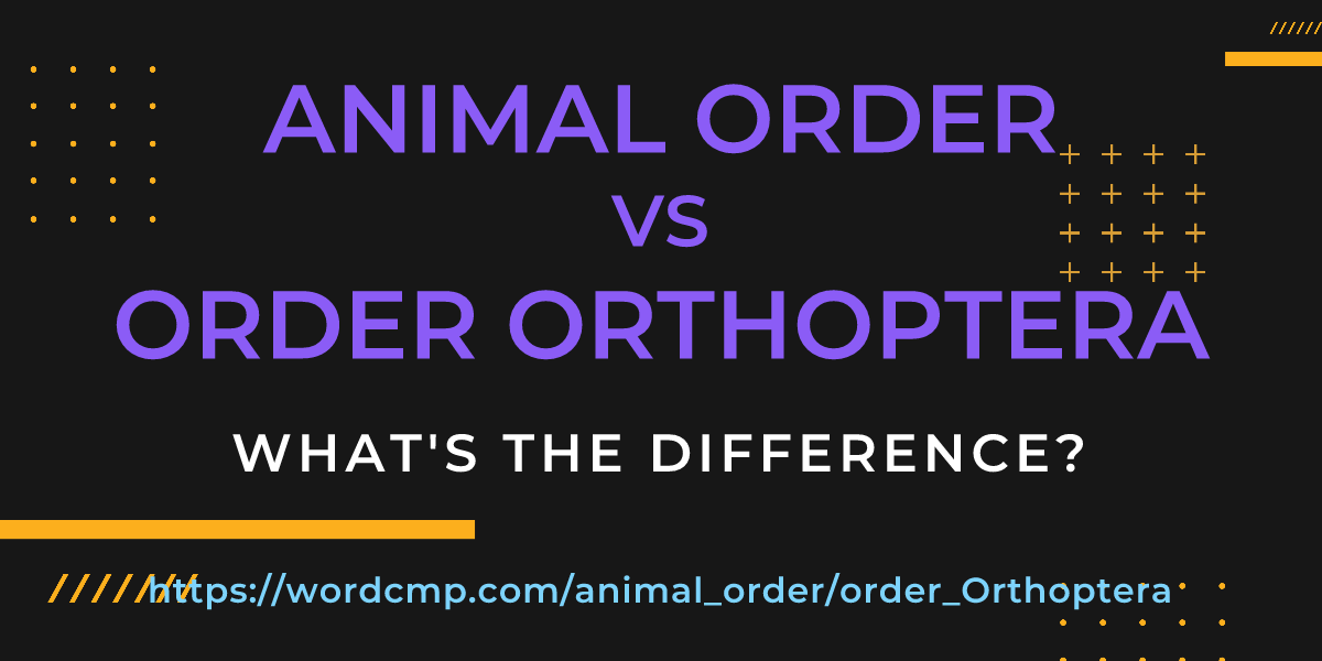 Difference between animal order and order Orthoptera