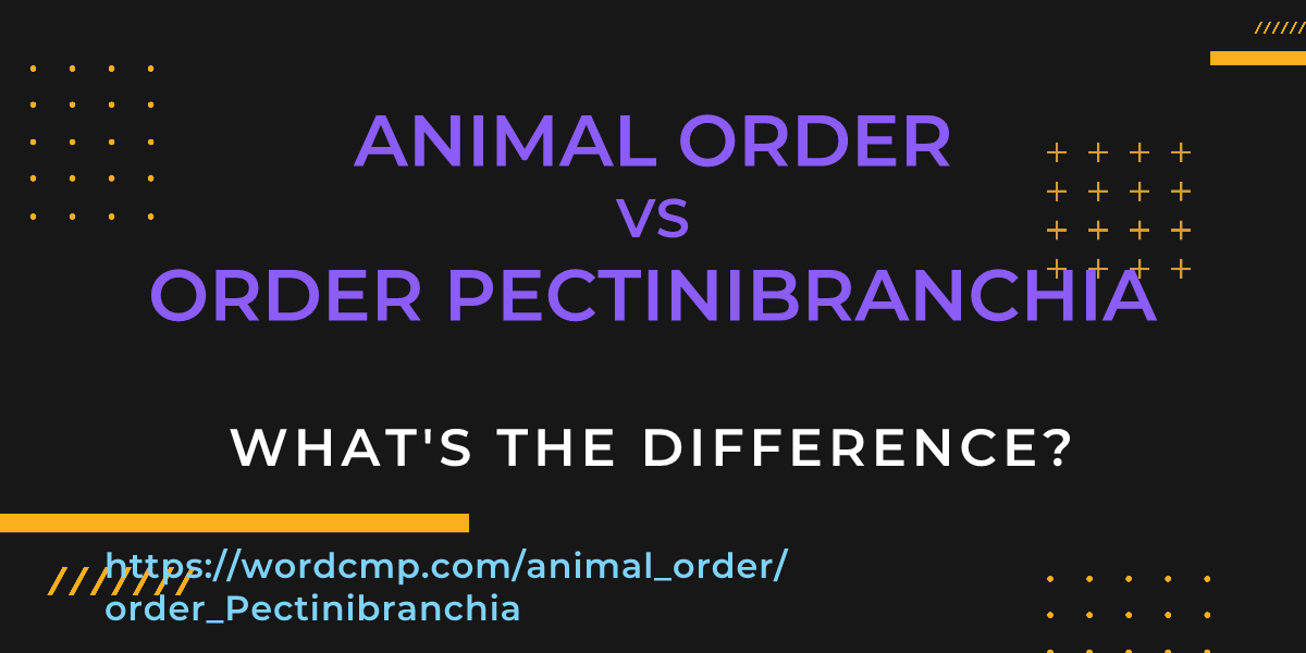 Difference between animal order and order Pectinibranchia