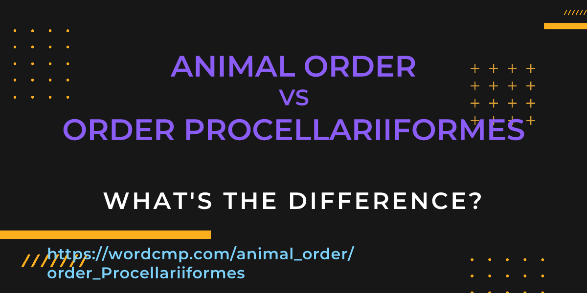 Difference between animal order and order Procellariiformes