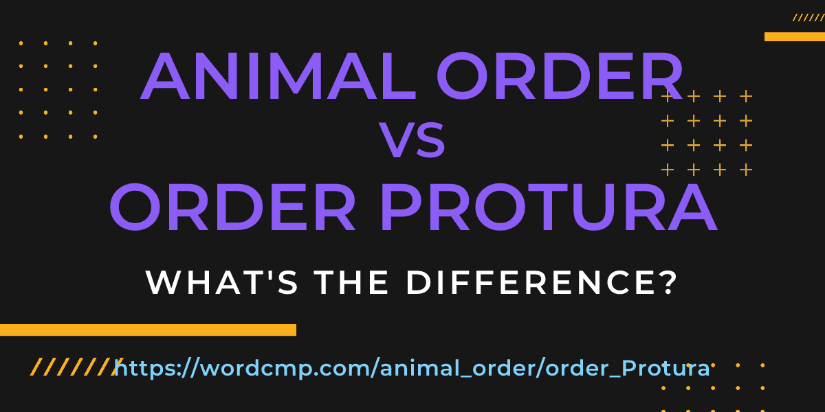 Difference between animal order and order Protura