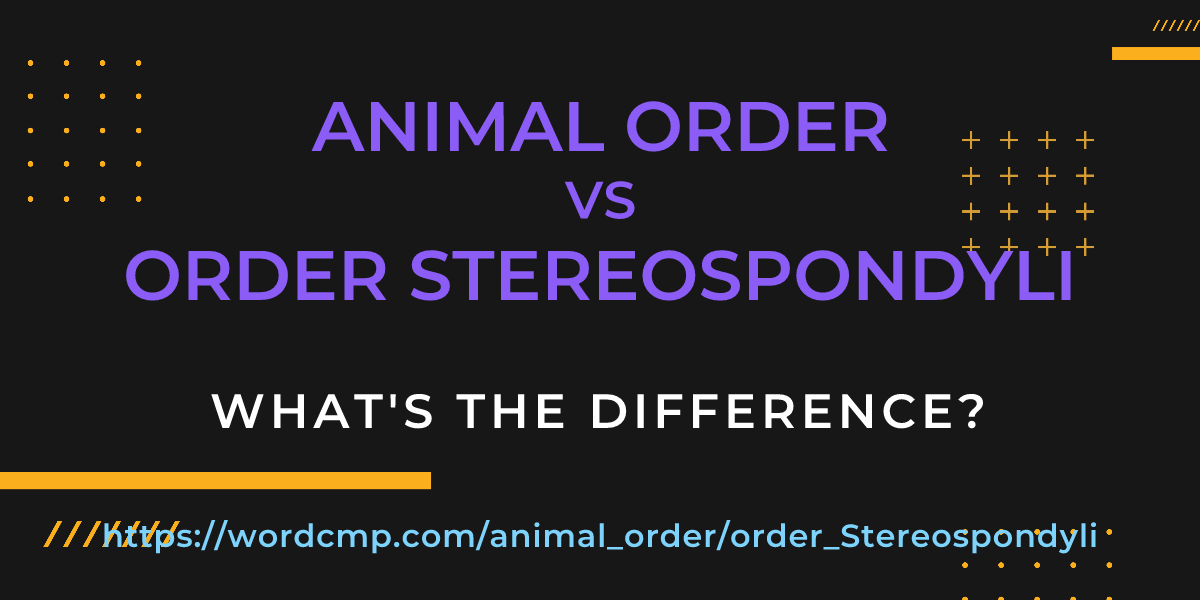 Difference between animal order and order Stereospondyli