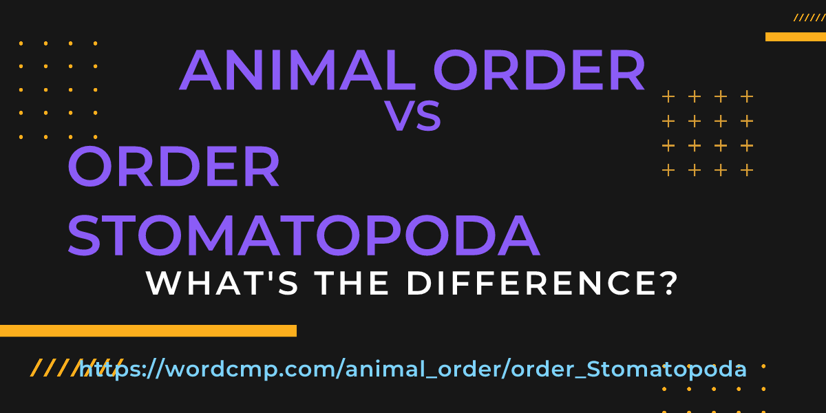 Difference between animal order and order Stomatopoda