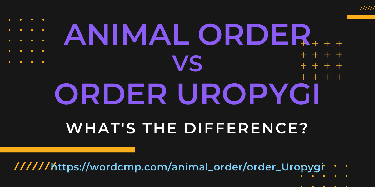 Difference between animal order and order Uropygi