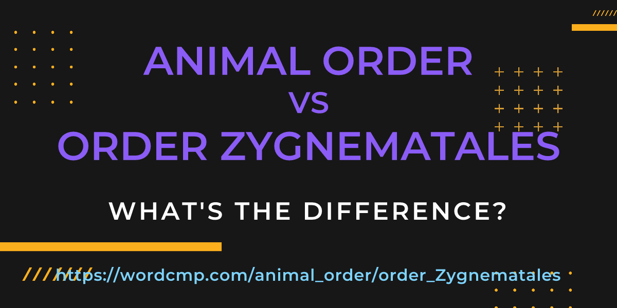 Difference between animal order and order Zygnematales