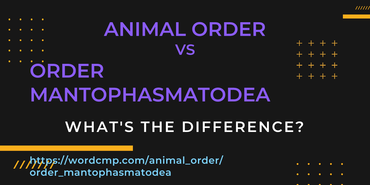 Difference between animal order and order mantophasmatodea
