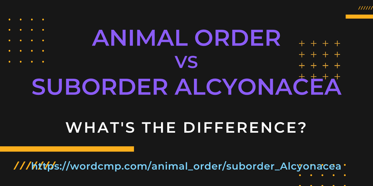 Difference between animal order and suborder Alcyonacea