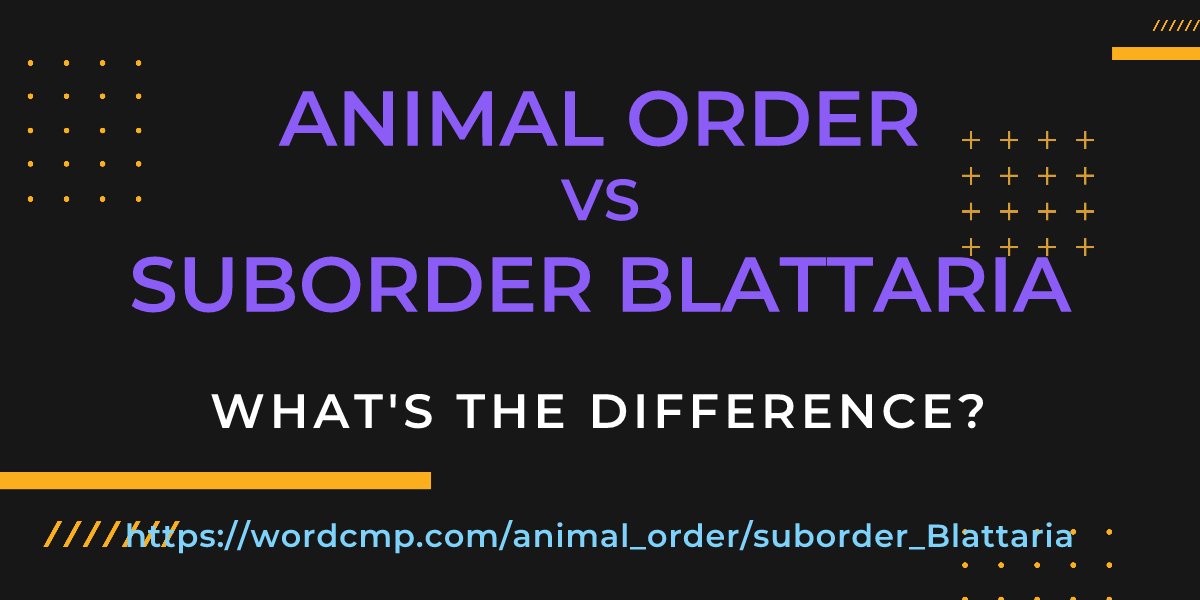 Difference between animal order and suborder Blattaria