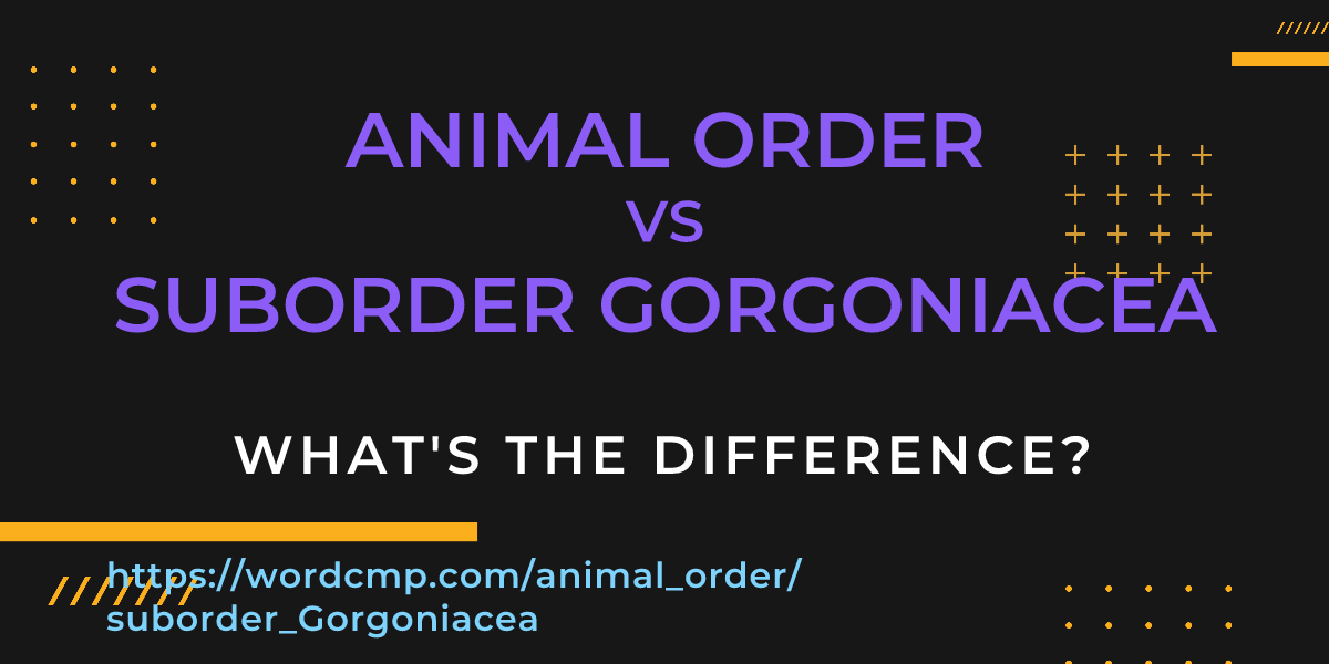 Difference between animal order and suborder Gorgoniacea