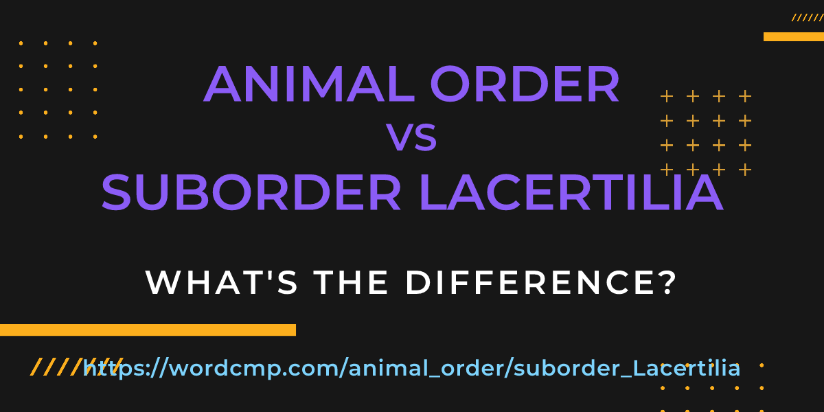 Difference between animal order and suborder Lacertilia