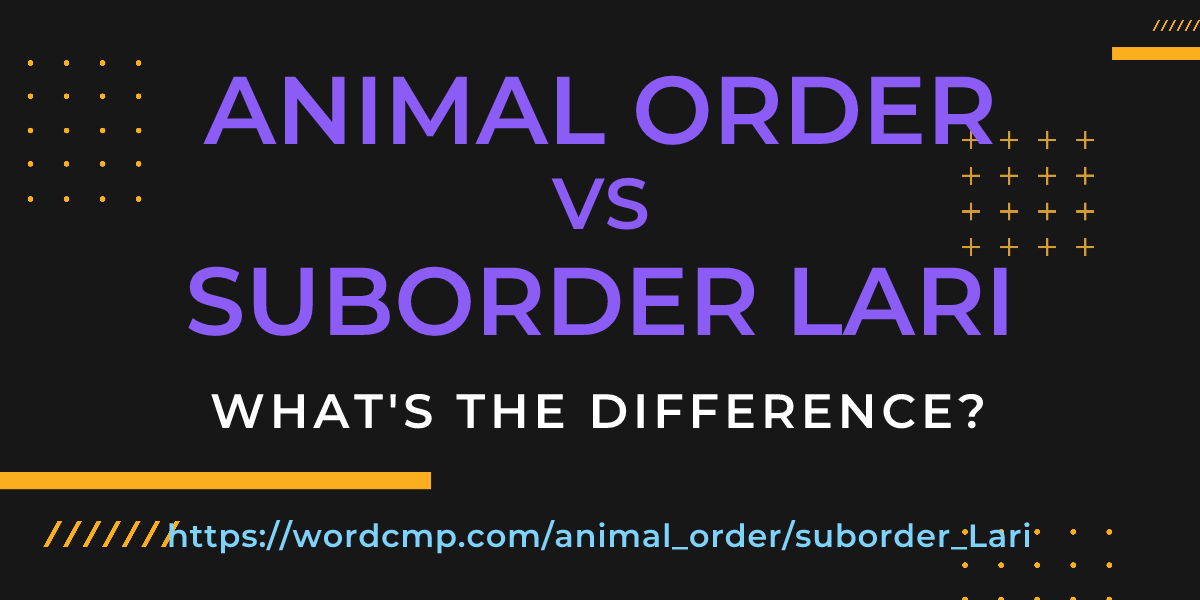 Difference between animal order and suborder Lari