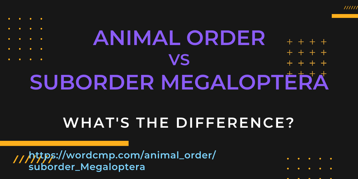 Difference between animal order and suborder Megaloptera