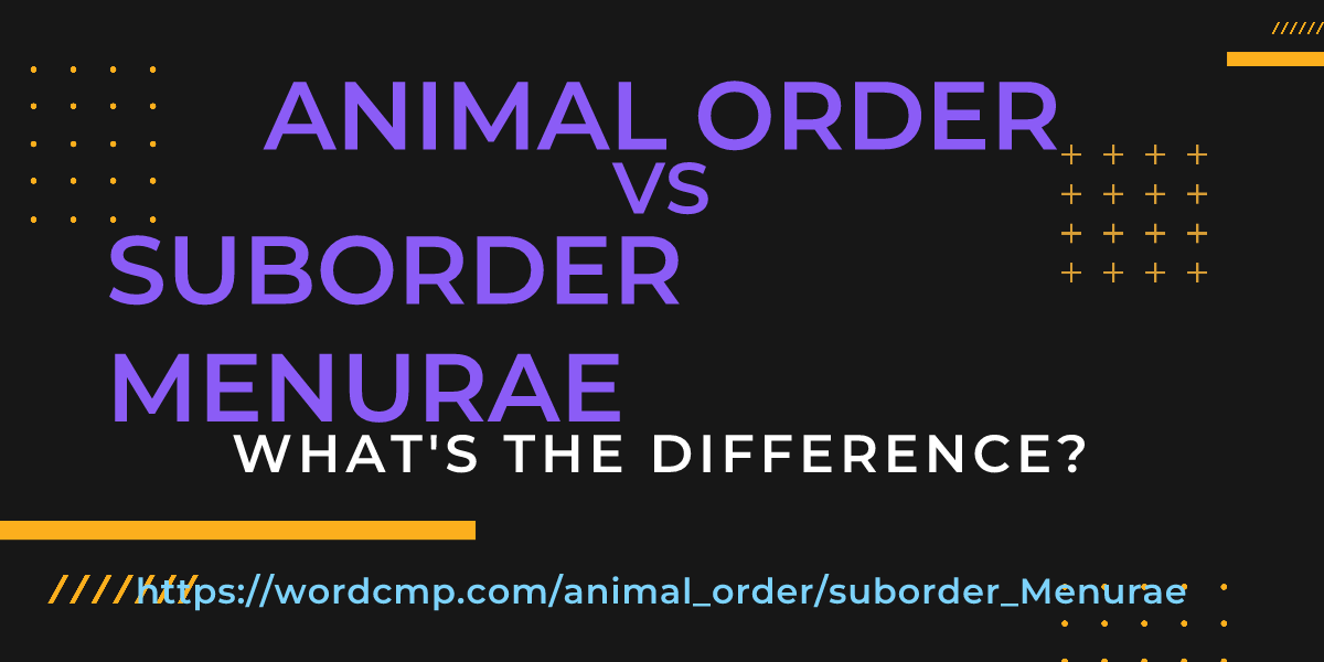 Difference between animal order and suborder Menurae