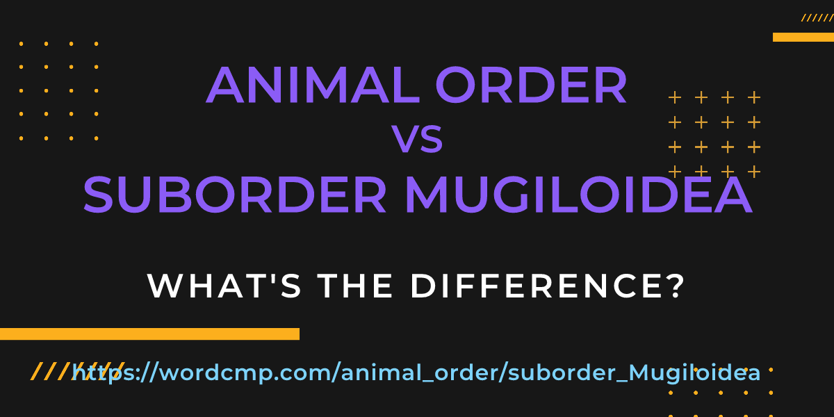 Difference between animal order and suborder Mugiloidea