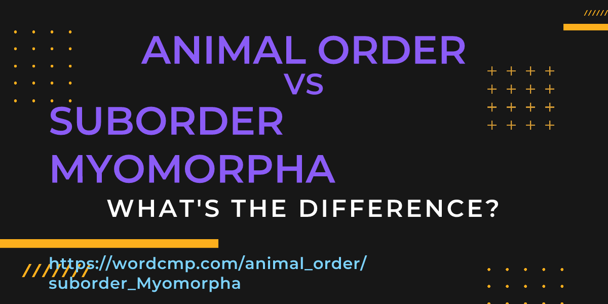 Difference between animal order and suborder Myomorpha
