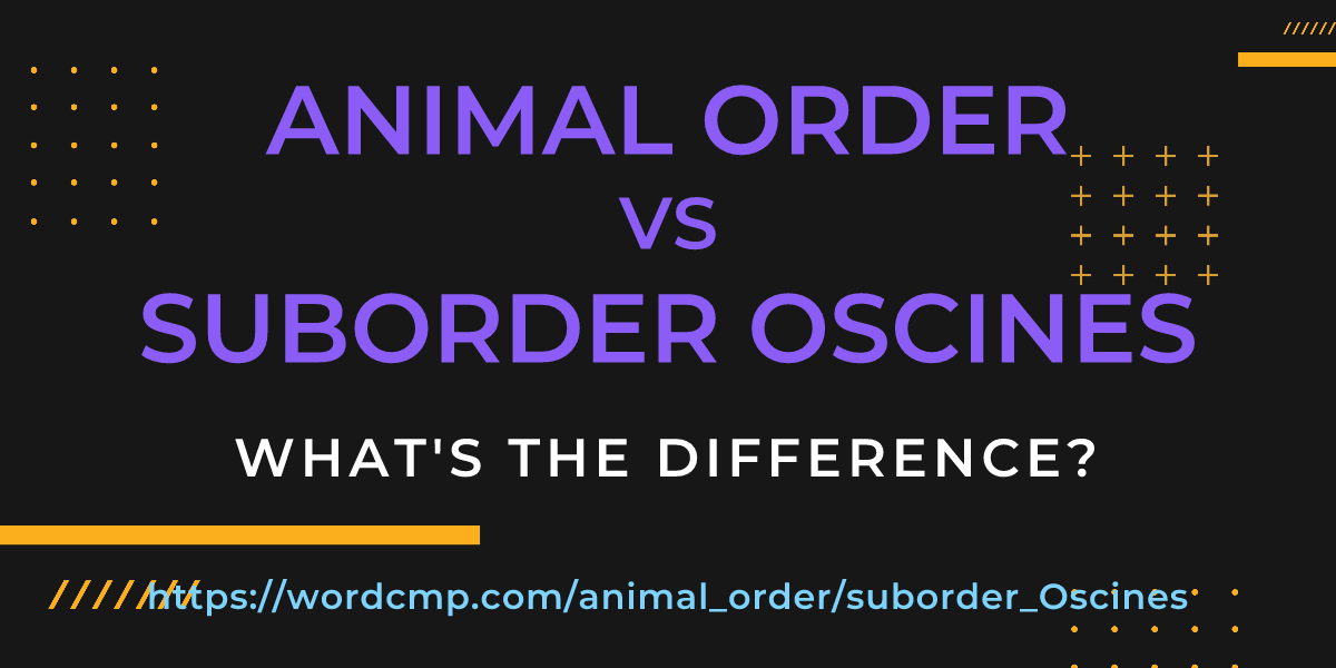 Difference between animal order and suborder Oscines