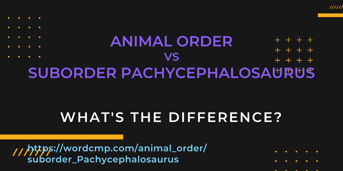Difference between animal order and suborder Pachycephalosaurus