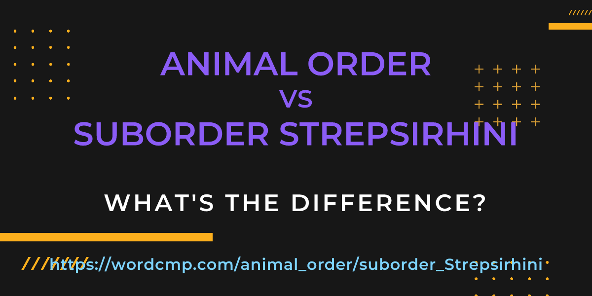 Difference between animal order and suborder Strepsirhini