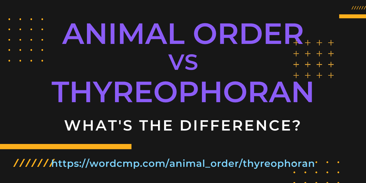 Difference between animal order and thyreophoran