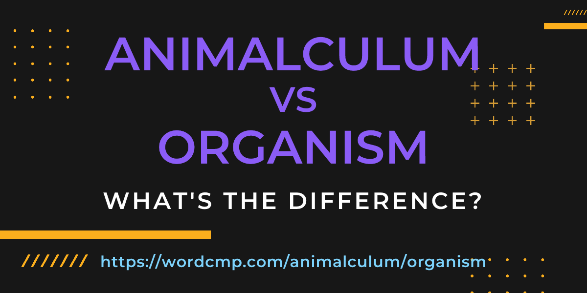 Difference between animalculum and organism