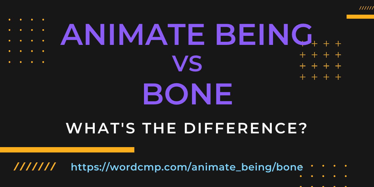 Difference between animate being and bone