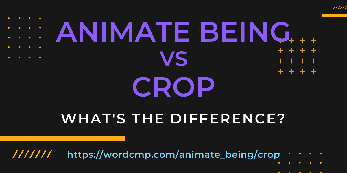 Difference between animate being and crop