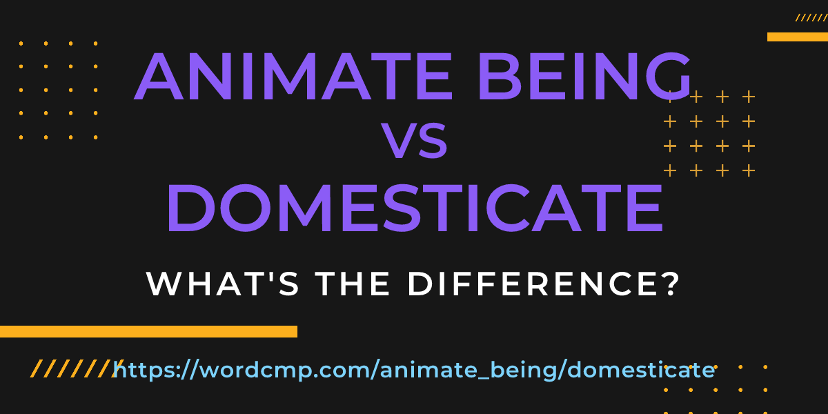 Difference between animate being and domesticate