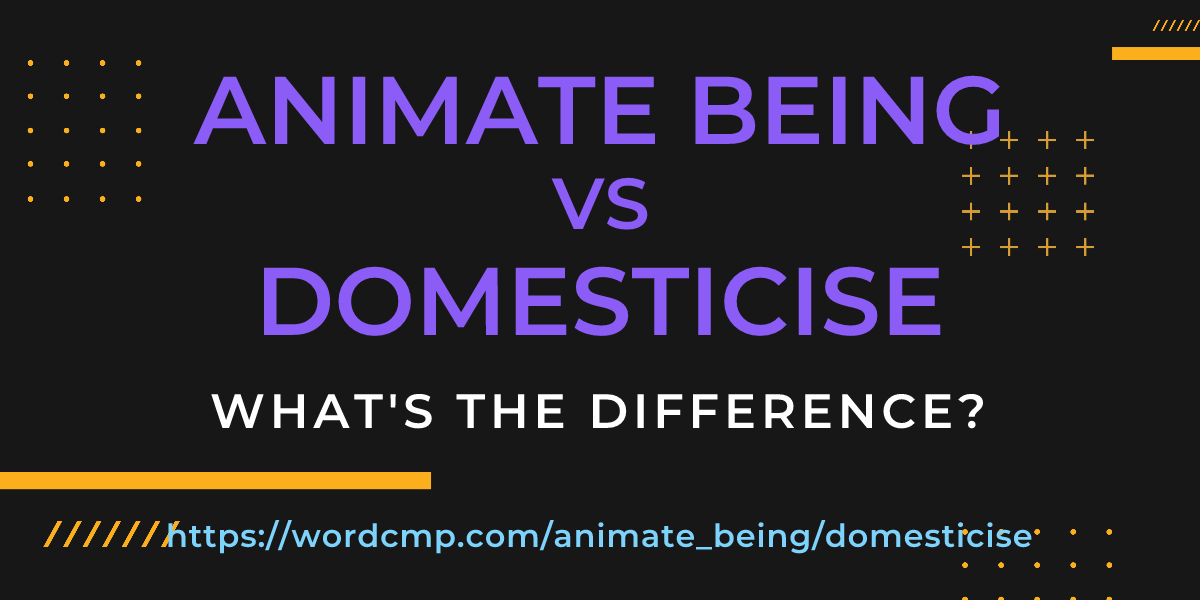 Difference between animate being and domesticise