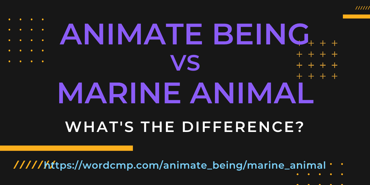 Difference between animate being and marine animal