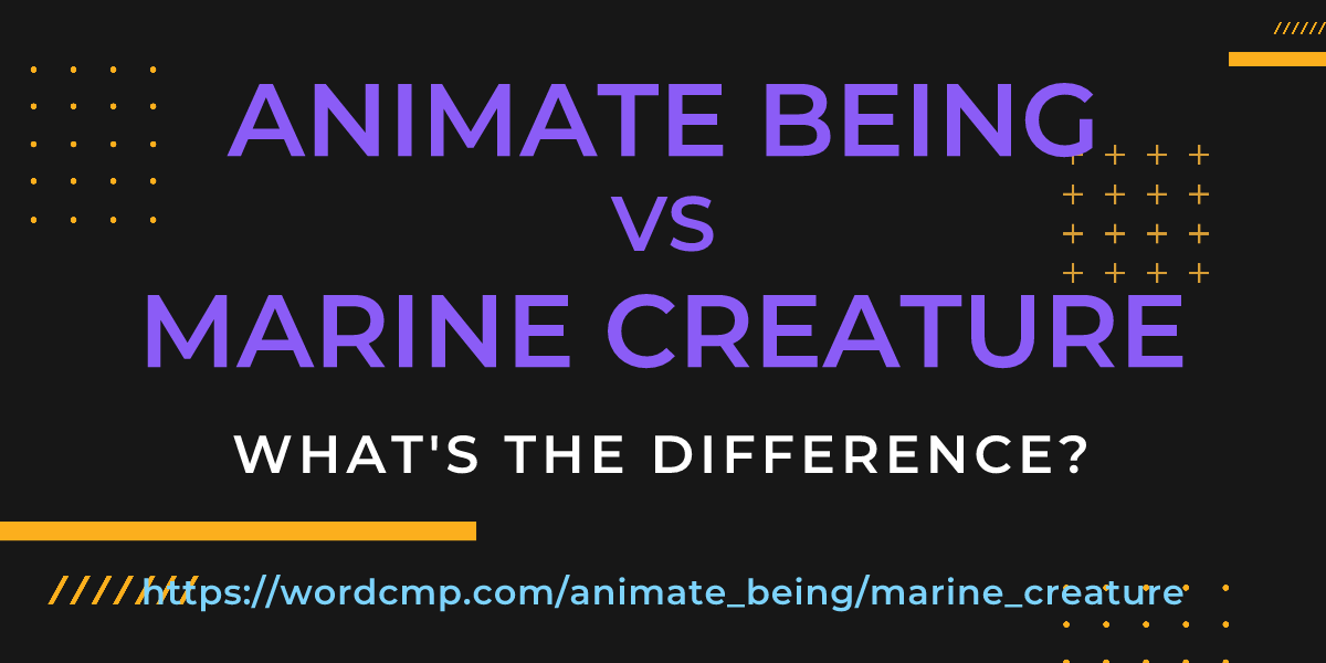 Difference between animate being and marine creature