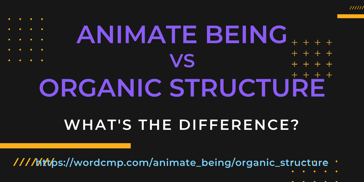 Difference between animate being and organic structure