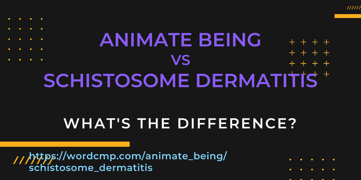Difference between animate being and schistosome dermatitis