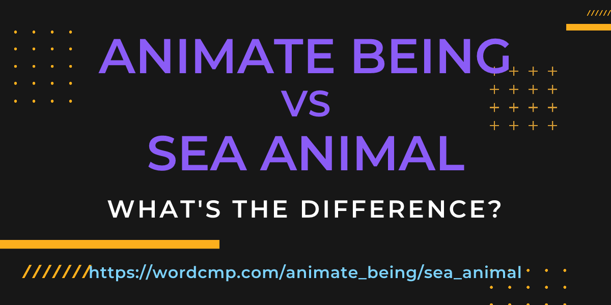 Difference between animate being and sea animal