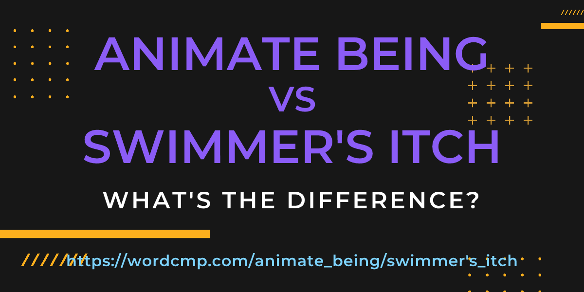Difference between animate being and swimmer's itch