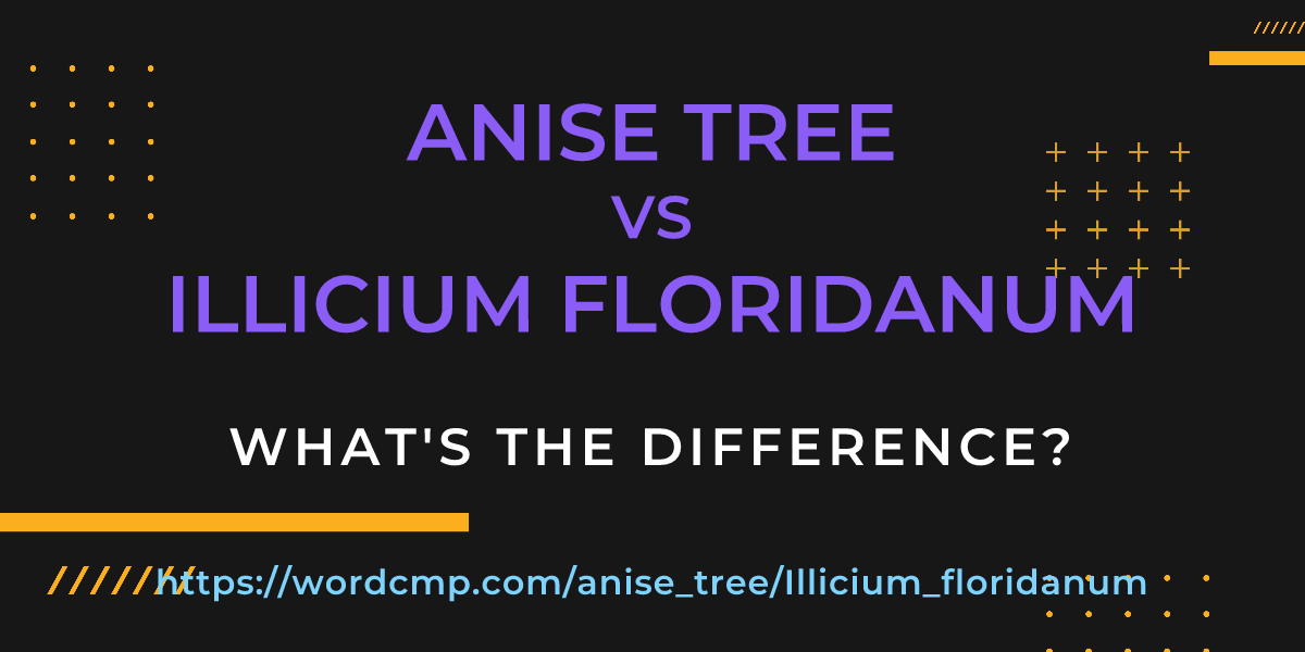 Difference between anise tree and Illicium floridanum