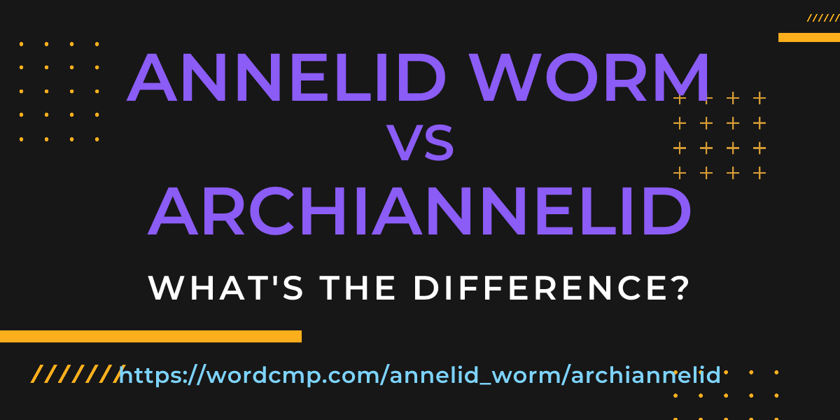 Difference between annelid worm and archiannelid