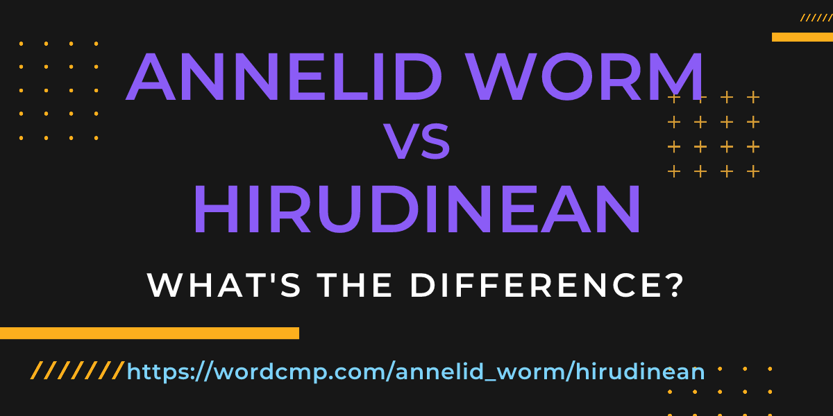 Difference between annelid worm and hirudinean