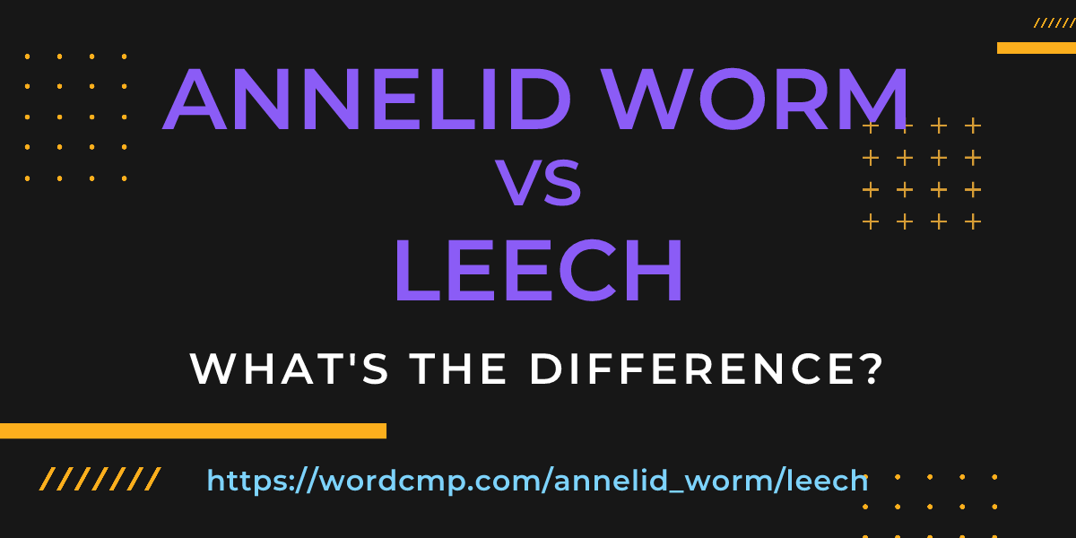 Difference between annelid worm and leech